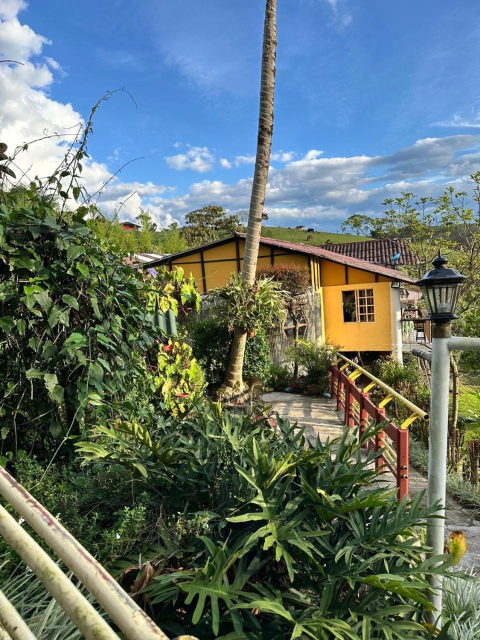 El Refugio Del Colibri Bed and Breakfast Santa Rosa de Cabal Esterno foto